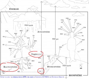 Biosphere-Sable-fin