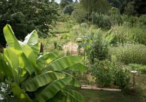 Le-Jardin-Vivant-3-aout-16