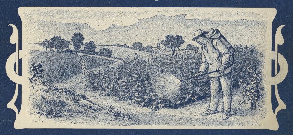 RÃ©sultat de recherche d'images pour "photos de la bouillie bordelaise"