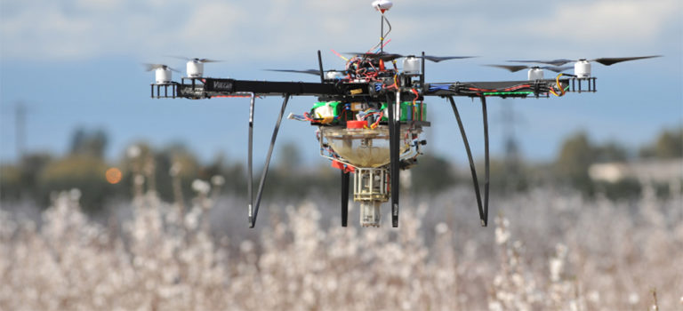 Pourquoi les drones ne remplaceront jamais les abeilles ?