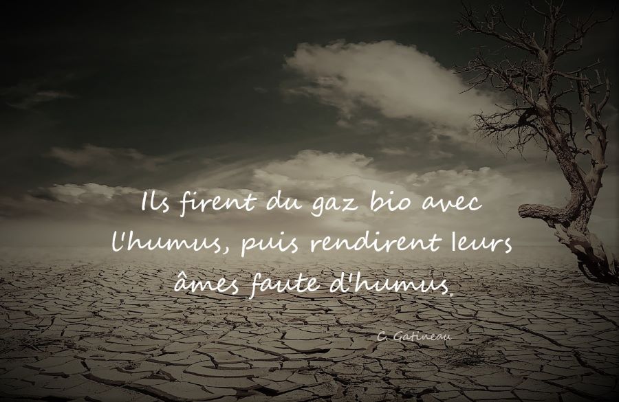 Cette image a un attribut alt vide ; le nom du fichier est Humus.jpg