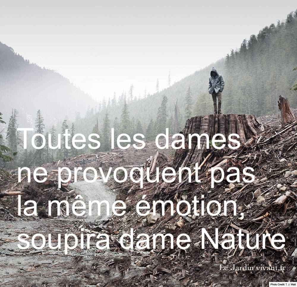 Cette image a un attribut alt vide ; le nom du fichier est Nature.jpg