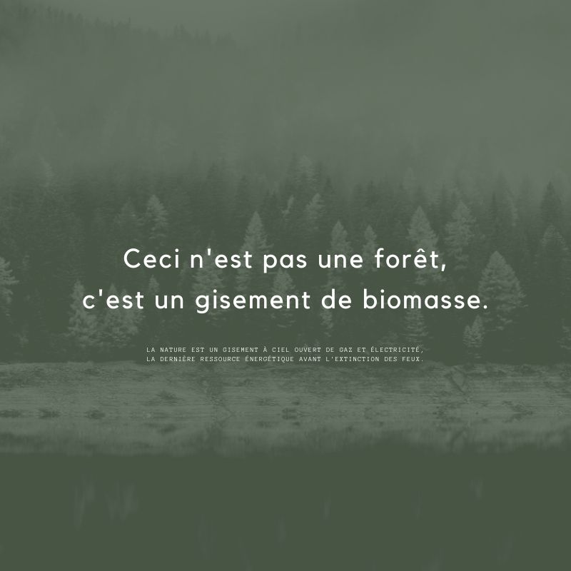 Cette image a un attribut alt vide ; le nom du fichier est biomasse.jpg