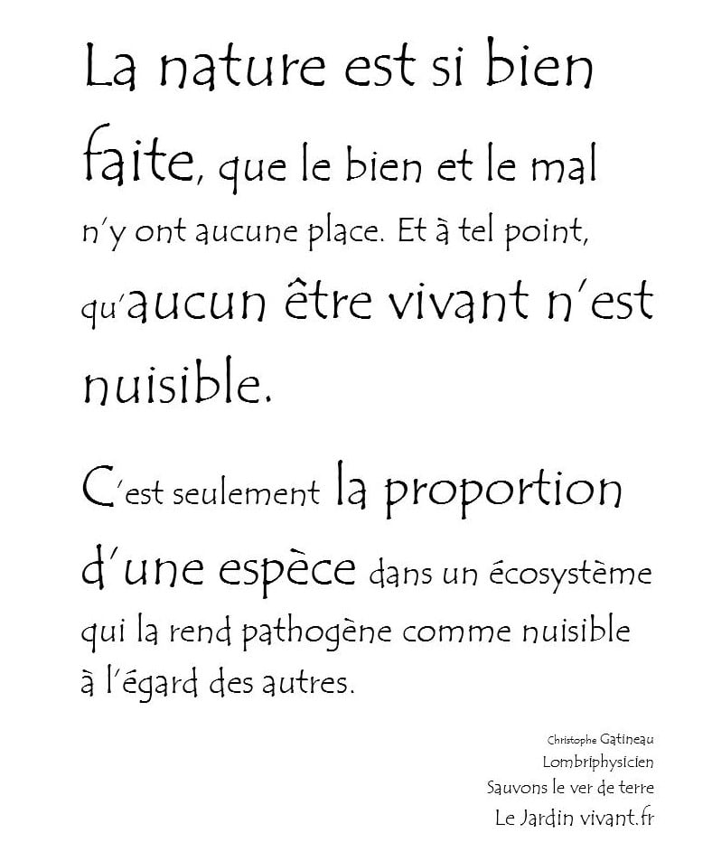 Cette image a un attribut alt vide ; le nom du fichier est ecosysteme.jpg