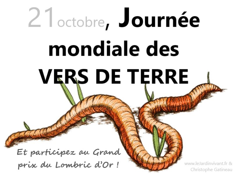 Cette image a un attribut alt vide ; le nom du fichier est 21oct.jpg