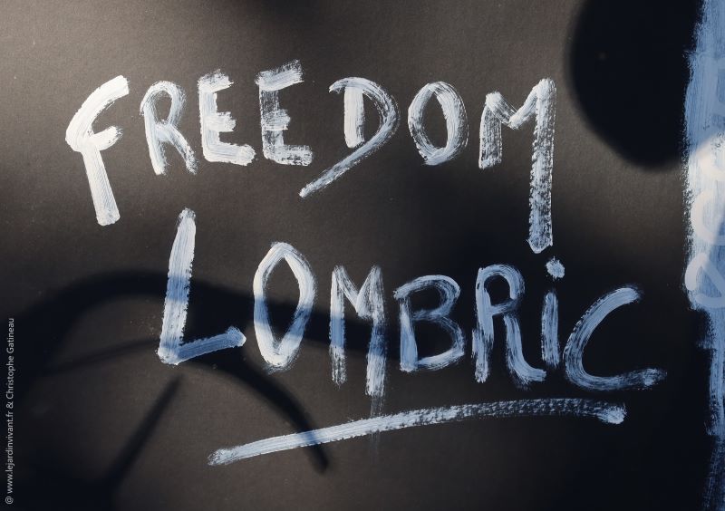 Cette image a un attribut alt vide ; le nom du fichier est Freedom1.jpg