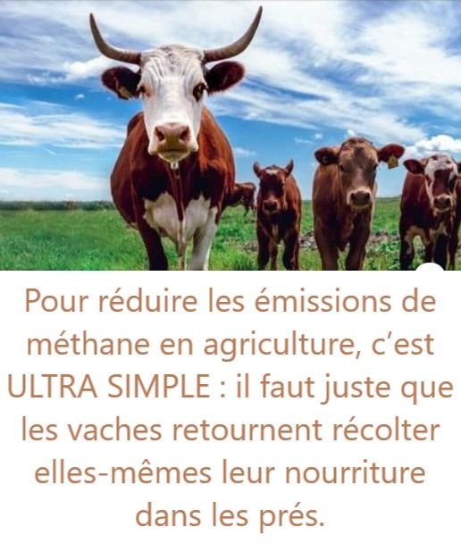 Cette image a un attribut alt vide ; le nom du fichier est vaches.jpg